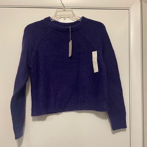 A new day purple crop sweater